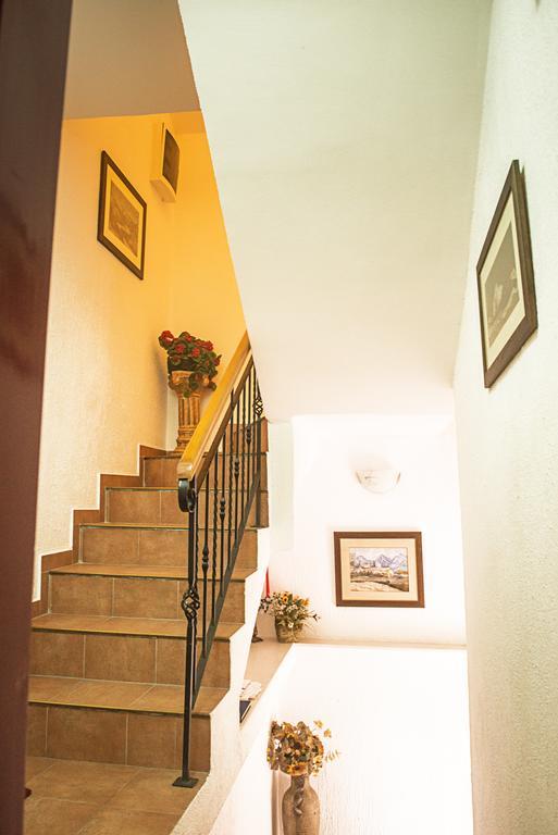 Apartments Villa Ferri Котор Экстерьер фото
